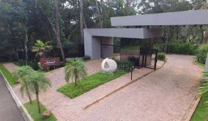 Terreno à venda, 704 m² por R$ 1.500.000,00 - Santa Felicidade - Curitiba/PR