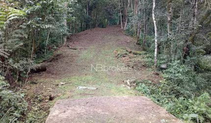 Refúgio Natural Próximo ao Morro da Palha – Chácara com Rios em Área Privilegiada