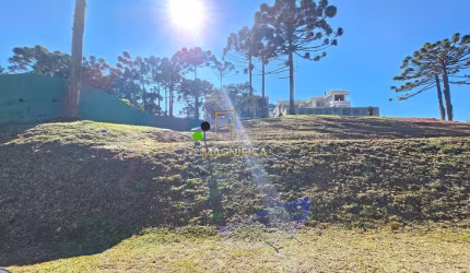 Terreno em condomínio fechado à venda na Rua Pedro Cruzetta, 295, Augusta, Curitiba, 1000 m2 por R$ 1.599.000