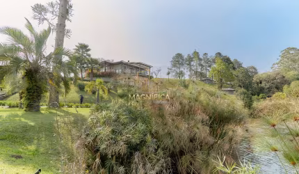 Chácara / sítio com 4 quartos à venda na Rodovia BR-376, Miringuava, São José dos Pinhais, 630 m2 por R$ 11.999.000