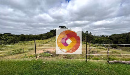 Área à venda, 36600 m² Augusta - Curitiba/PR
