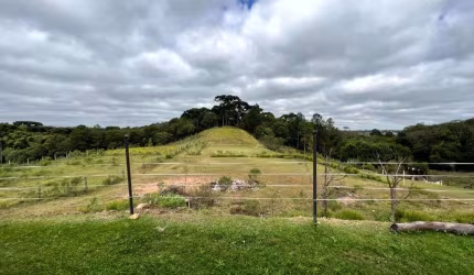 Área à venda, 36600 m  Augusta - Curitiba PR