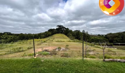 Área à venda, 36600 m  Augusta - Curitiba PR