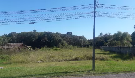 Terreno à venda, 16.500 m² por R$ 1.889.000 - São Miguel - Araucária/PR