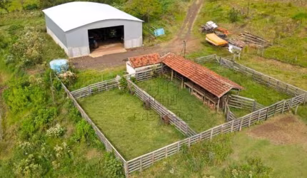 Sítio à venda por R$ 8.000.000 - Zona Rural - Assaí/PR