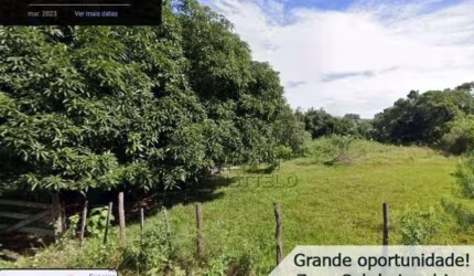 Terreno à venda, 2000 m² por R$ 1.250.000,00 - Conjunto Residencial Vivendas do Arvoredo - Londrina/PR