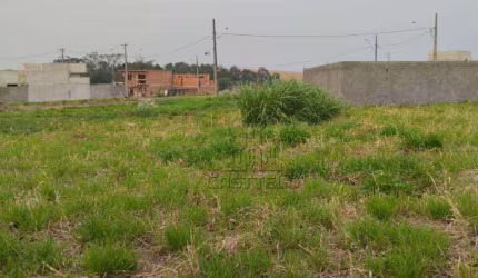 Terreno à venda, 437 m² por R$ 437.000,00 - Jardim Nova Londrina - Londrina/PR