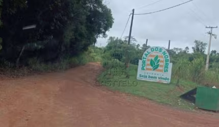 Chácara à venda, 1000 m² por R$ 110.000,00 - Coroados - Londrina/PR