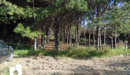 Chácara / sítio à venda em Campina do Taquaral, São José dos Pinhais  por R$ 2.600.000