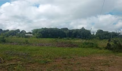 Terreno comercial à venda em Campina do Taquaral, São José dos Pinhais  por R$ 2.600.000