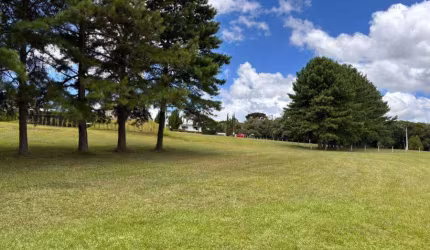 Terreno à venda na Rodovia BR-376, Campo Largo da Roseira, São José dos Pinhais por R$ 990.000