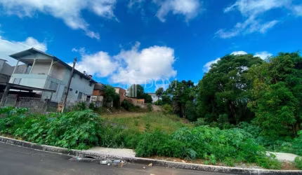 TERRENO VENDA SANTA CRUZ