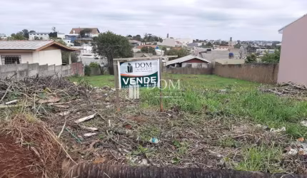 TERRENO CONRADINHO