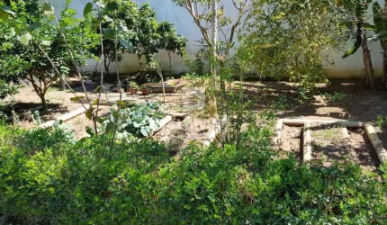 Terreno à venda, 736 m² - Palmeiras - Cabo Frio/RJ