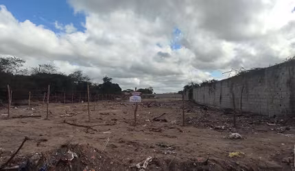 Terreno em Papagaio  -  Feira de Santana