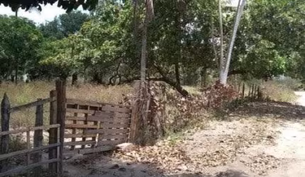 Terreno em Feira de Santana