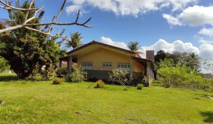 Fazenda em   Amélia Rodrigues