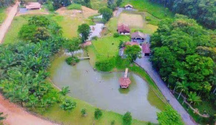 Sítio à venda, 25000 m² por R$ 2.500.000,00 - Centro - Barra Velha/SC