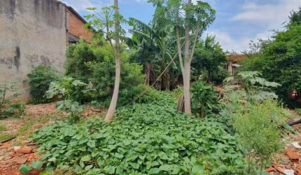 Terreno à venda, 250 m² por R$ 80.000,00 - Marabá - Londrina/PR