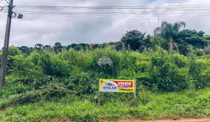Terreno à venda na Rua Antônio Eduardo Trevisan, 1662, Pacotuba, Almirante Tamandaré por R$ 300.000