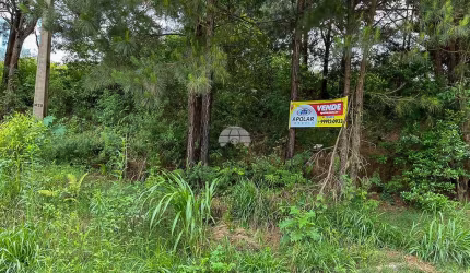 Terreno à venda na Rua Francisco de Oliveira, 143, Jardim Cíntia Mara, Almirante Tamandaré por R$ 75.000