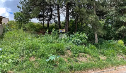 Terreno à venda na Rua Lydia Rose Zanlutti, 313, Jardim Cíntia Mara, Almirante Tamandaré por R$ 85.000