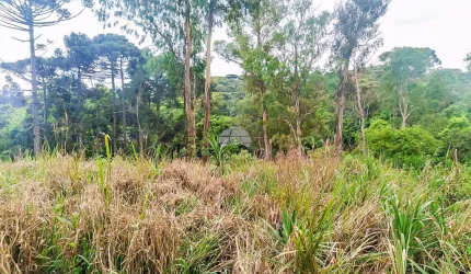 Terreno comercial à venda na RODOVIA DO CONTORNO NORTE, 10500, Jardim Alvorada, Almirante Tamandaré, 5181 m2 por R$ 830.000