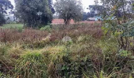 Terreno comercial à venda na ESTRADA ANTA MAGRA, Campina de Quitandinha, Quitandinha, 1000 m2 por R$ 280.000