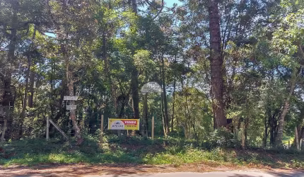 Terreno à venda na Rua Pedro Foggiatto, 000, Aristocrata, São José dos Pinhais por R$ 980.000