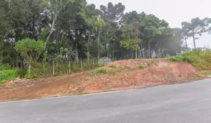 Terreno à venda na Rua do Nambu, 169, Arruda, Colombo, 960 m2 por R$ 360.000
