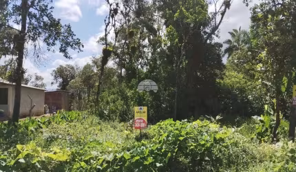 Terreno à venda na RUA JOINVILLE, 300, Palmital, Garuva por R$ 87.000