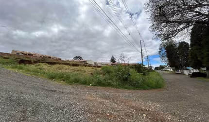 Terreno à venda na Rua Nestor Alves de Campos, 841, Uvaranas, Ponta Grossa, 495 m2 por R$ 85.000