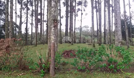 Chácara / sítio à venda na Estrada da Roseira, 200202, São Sebastião, São José dos Pinhais, 1365 m2 por R$ 180.000