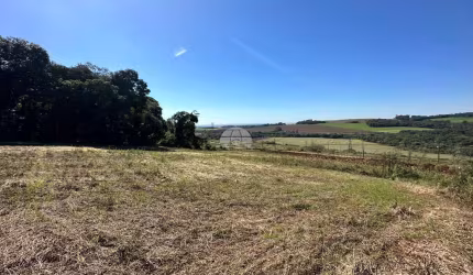 Terreno à venda na Rua Nilva de Mello, 00, São Luiz, Pato Branco, 462 m2 por R$ 231.000
