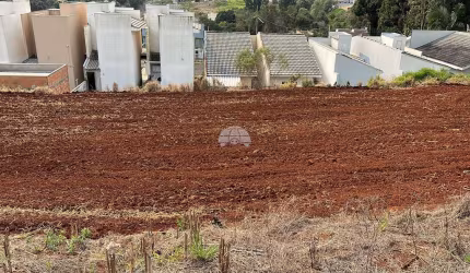 Terreno à venda na Rua Zeferina Artuzi Oltramari, 00, Fraron, Pato Branco, 288 m2 por R$ 125.000