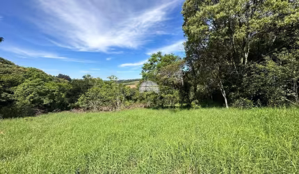 Chácara / sítio à venda na RUA PASSO DA ILHA, 00, Zona Rural, Pato Branco, 20000 m2 por R$ 580.000