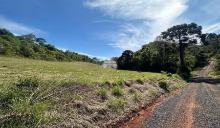 Chácara / sítio à venda na RUA PASSO DA ILHA, 00, Zona Rural, Pato Branco, 20000 m2 por R$ 850.000
