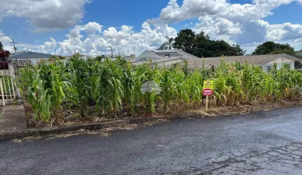 Terreno à venda na Rua Benjamin Constant, 00, Jardim Primavera, Pato Branco, 418 m2 por R$ 350.000