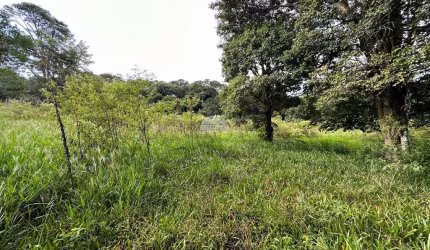 Chácara / sítio à venda na COMUNIDADE FAZENDA DA BARRA, 00, Zona Rural, Pato Branco, 55660 m2 por R$ 750.000