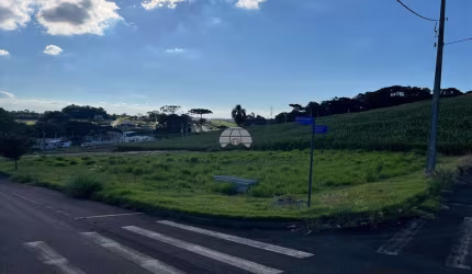 Terreno à venda na Rua Julia Bonetti, 00, Cadorin, Pato Branco, 580 m2 por R$ 510.000