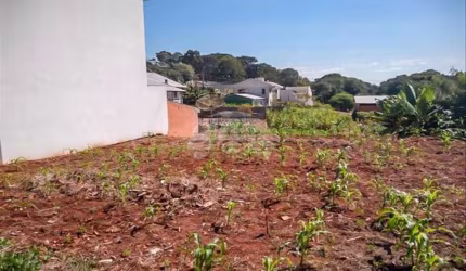 Terreno à venda na Rua Tapir, 00, Cadorin, Pato Branco, 865 m2 por R$ 610.000