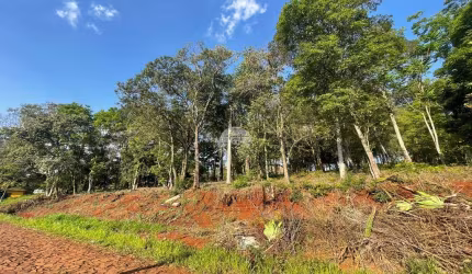 Terreno comercial à venda na Rua Vicente de Col, 00, Pagnoncelli, Pato Branco, 4560 m2 por R$ 1.498.000