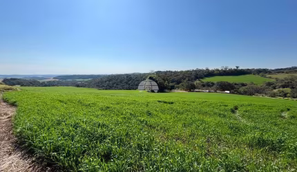 Terreno comercial à venda na Rodovia PR-280, 00, Zona Rural, Pato Branco, 27834 m2 por R$ 5.566.800