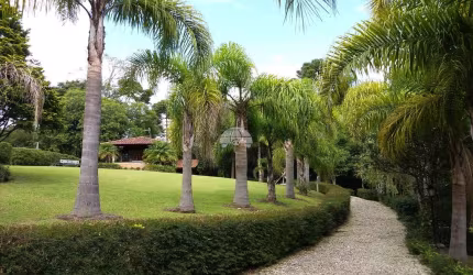 Chácara / sítio com 5 quartos à venda na Rua Três Lagos, S/N, Colônia Revier, Campo Largo, 24200 m2 por R$ 1.800.000