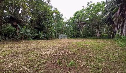 Terreno à venda na RODOVIA MIGUEL BUFFARA, 53, Centro, Morretes por R$ 200.000