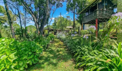 Chácara / sítio com 3 quartos à venda na Rua Faraó Cavalli, 1500, Campestre, Colombo, 93 m2 por R$ 1.600.000