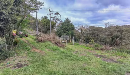 Chácara / sítio à venda na Rodovia BR-277, 277, Borda do Campo, São José dos Pinhais por R$ 2.350.000