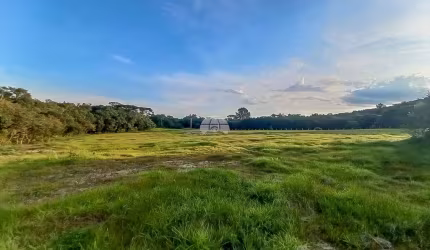 Terreno comercial à venda na Rodovia BR-376, 00, Campo Largo da Roseira, São José dos Pinhais, 34570 m2 por R$ 490.000