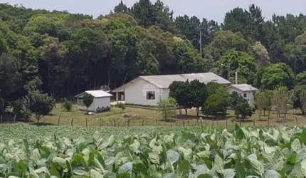 Chácara / sítio com 4 quartos à venda na Rodovia PR-151, 02, Centro, Palmeira por R$ 2.500.000