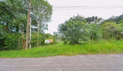 Terreno à venda na Rua Hilário Moletta, 73, Borda do Campo, São José dos Pinhais, 432 m2 por R$ 119.900